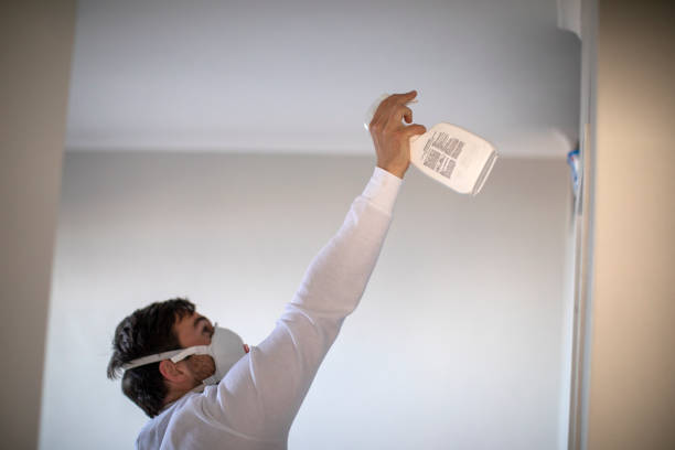 Trusted Elverson, PA Mold Removal Experts