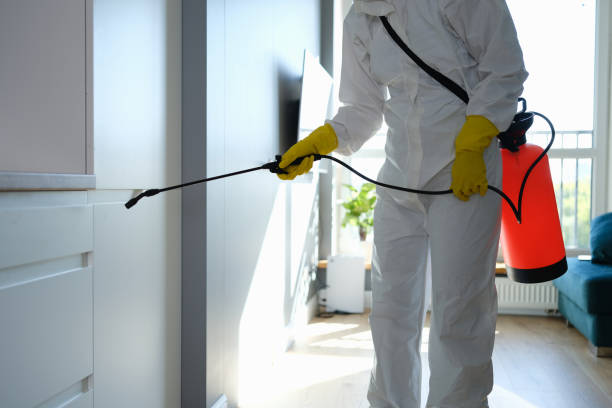 Best Professional Mold Removal  in Elverson, PA
